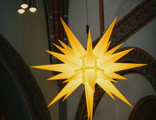 Herrenhuterstern
